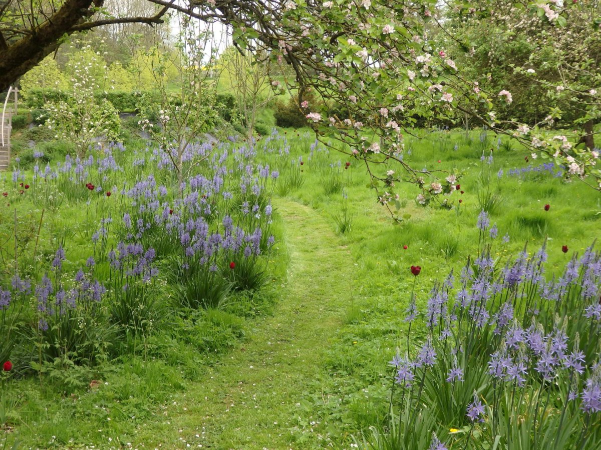 Wild Garden