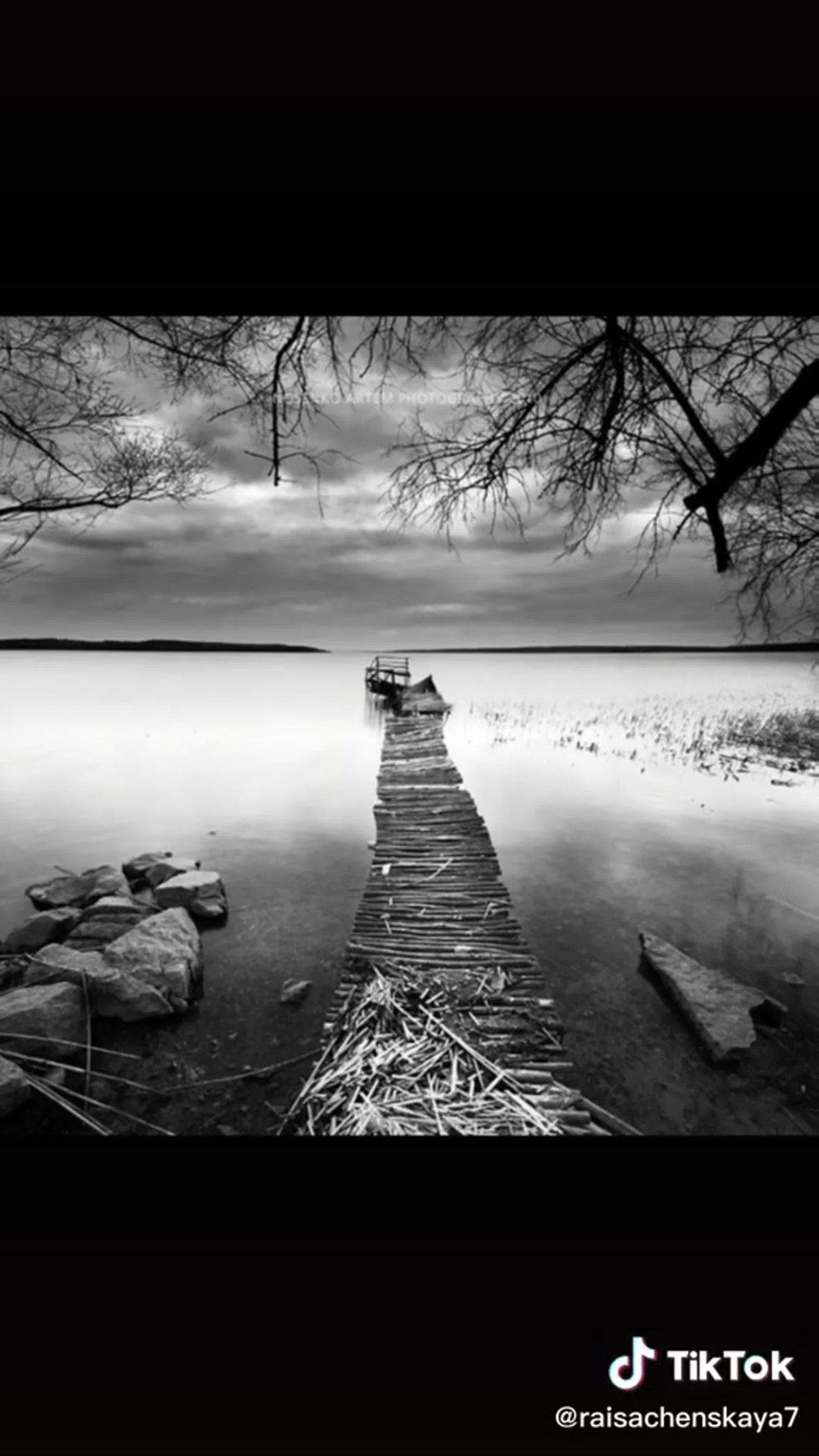 Природа чб