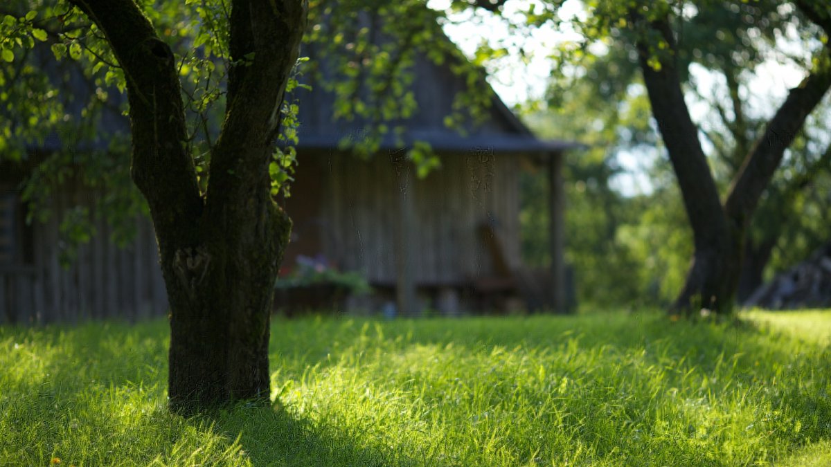 Задний фон природа