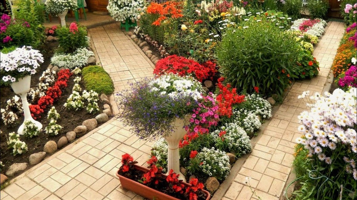 Клумбы на 6 сотках