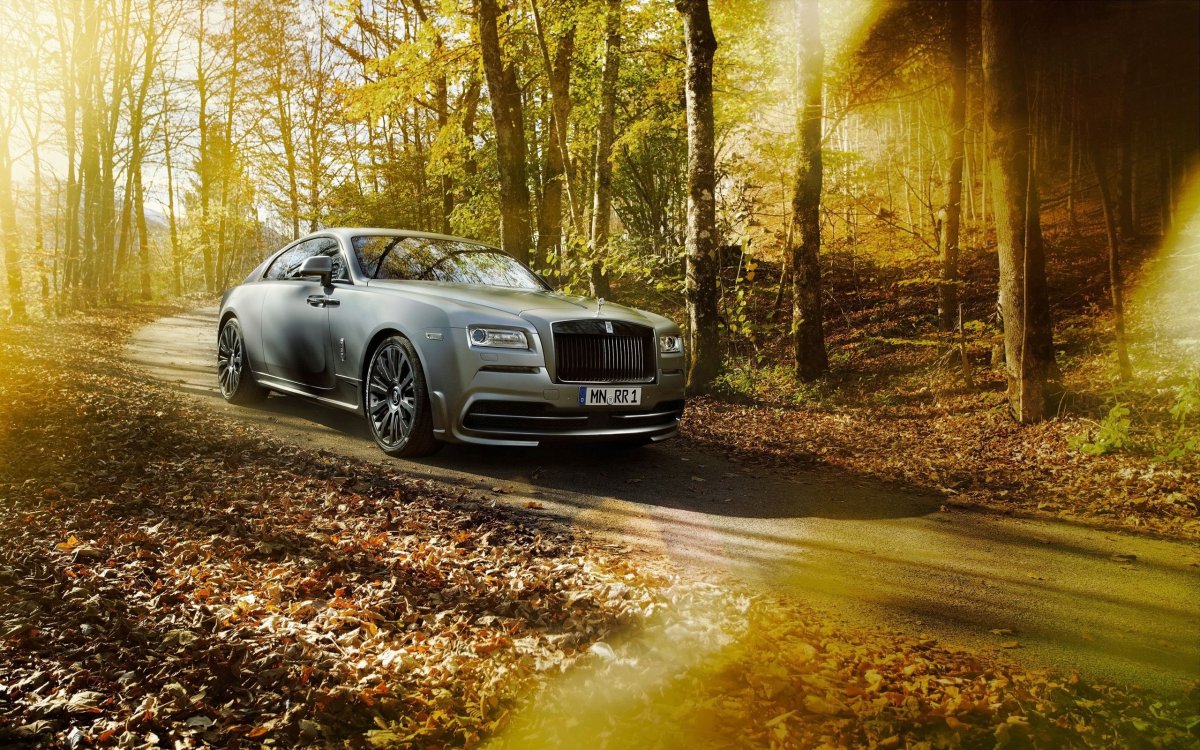 Автомобили Rolls-Royce Wraith