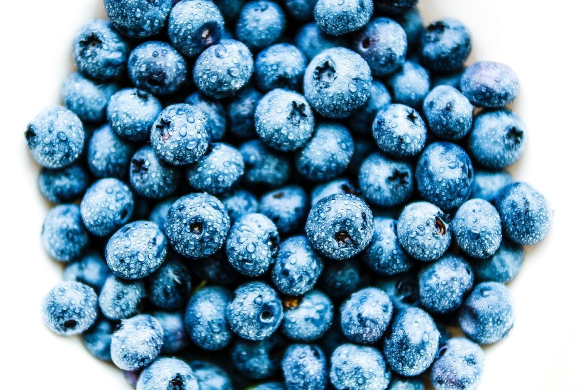 Pq4 Blueberry
