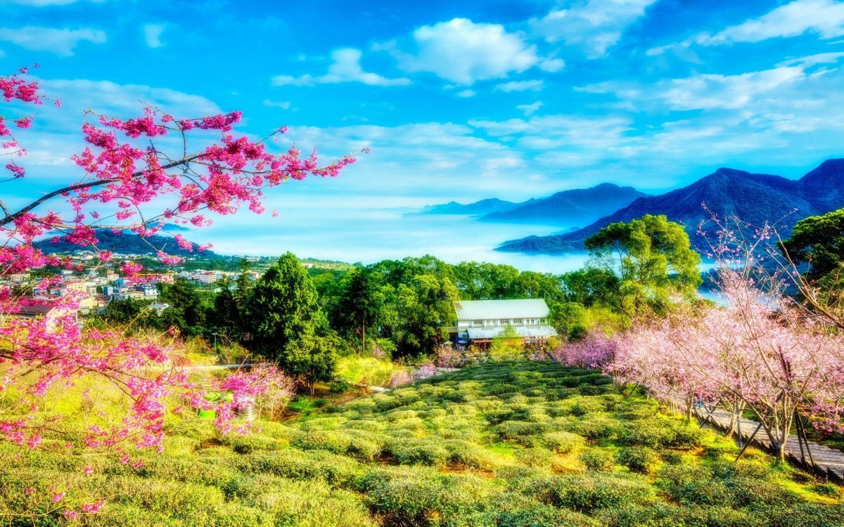 Яркая природа