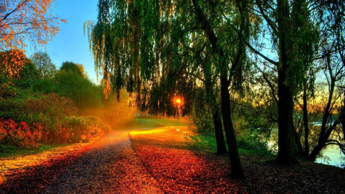 Природа солнце