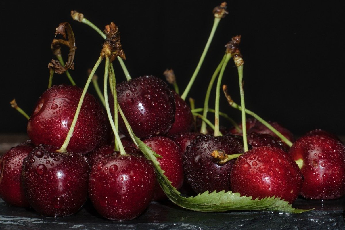 How to grow your own delicious Cherries