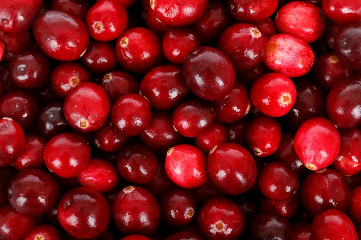 Cranberries ягода