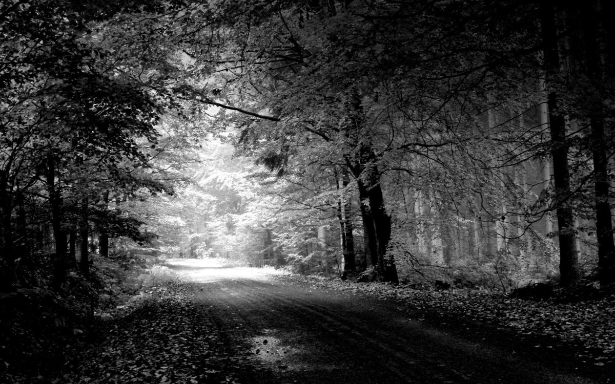 The poem and the Journey
