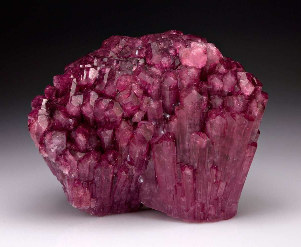 Liddicoatite Tourmaline