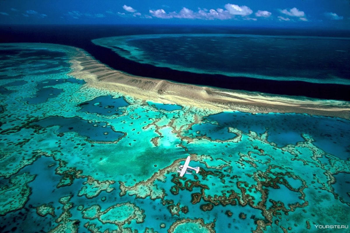 Природа большого барьерного рифа