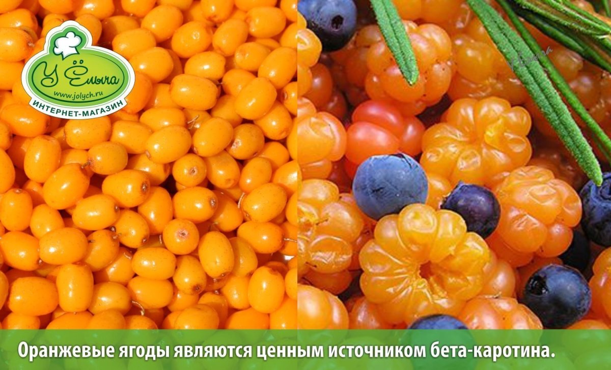 Источники бета каротина