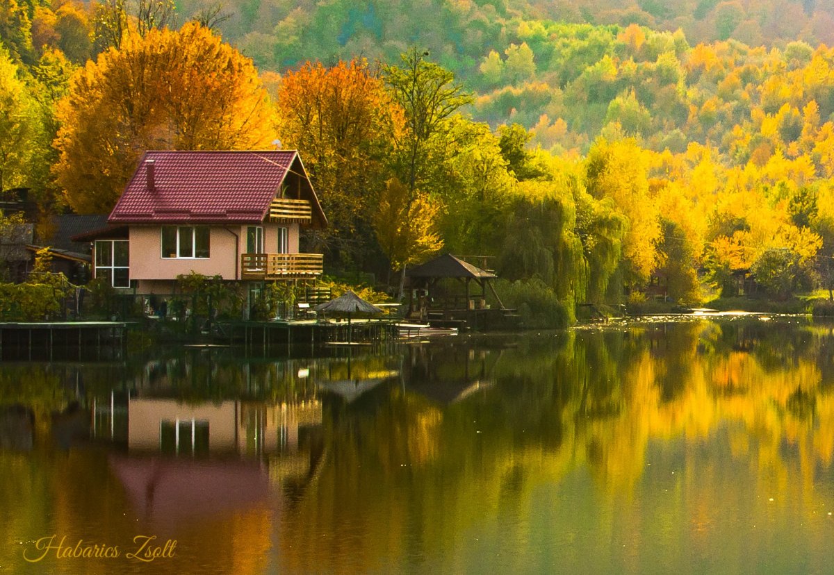 Дом в лесу