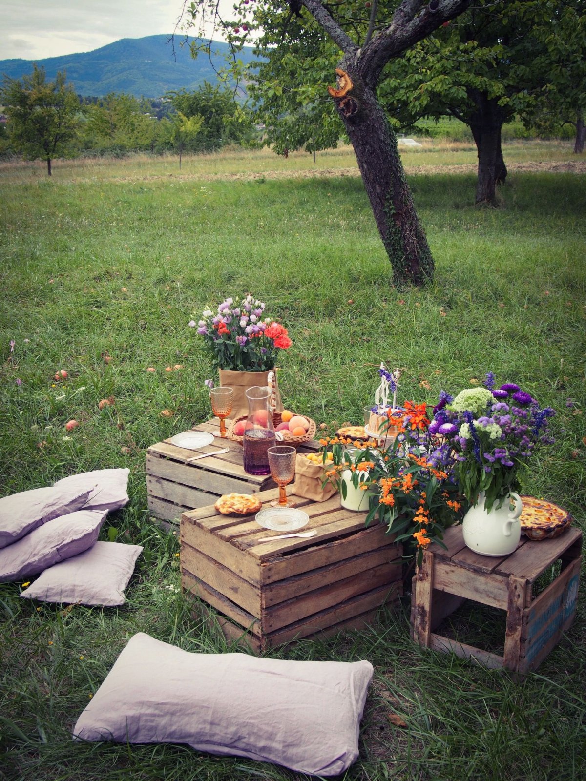 Украшение пикника на природе
