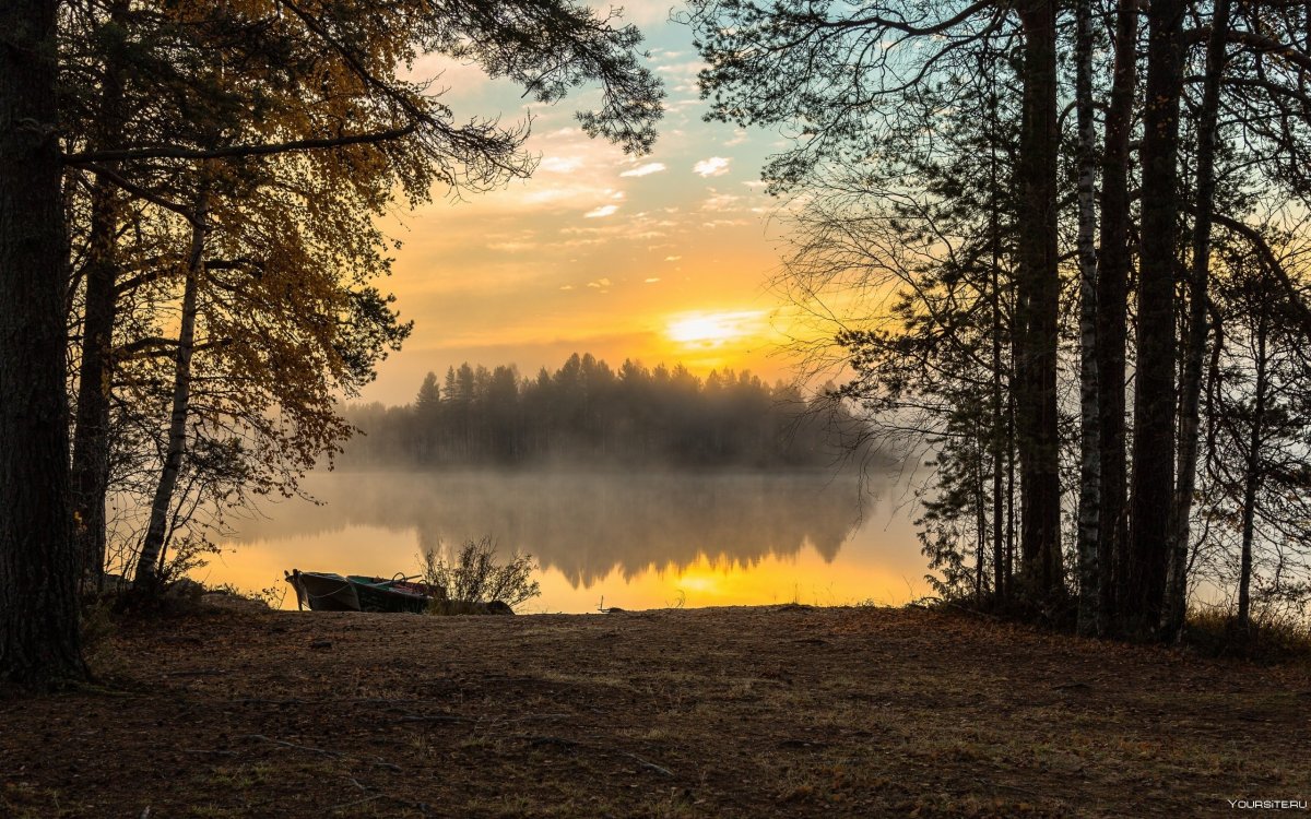 Рассвет в лесу