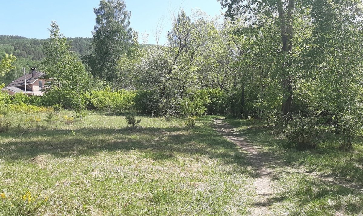Ботанический сад Синегорье