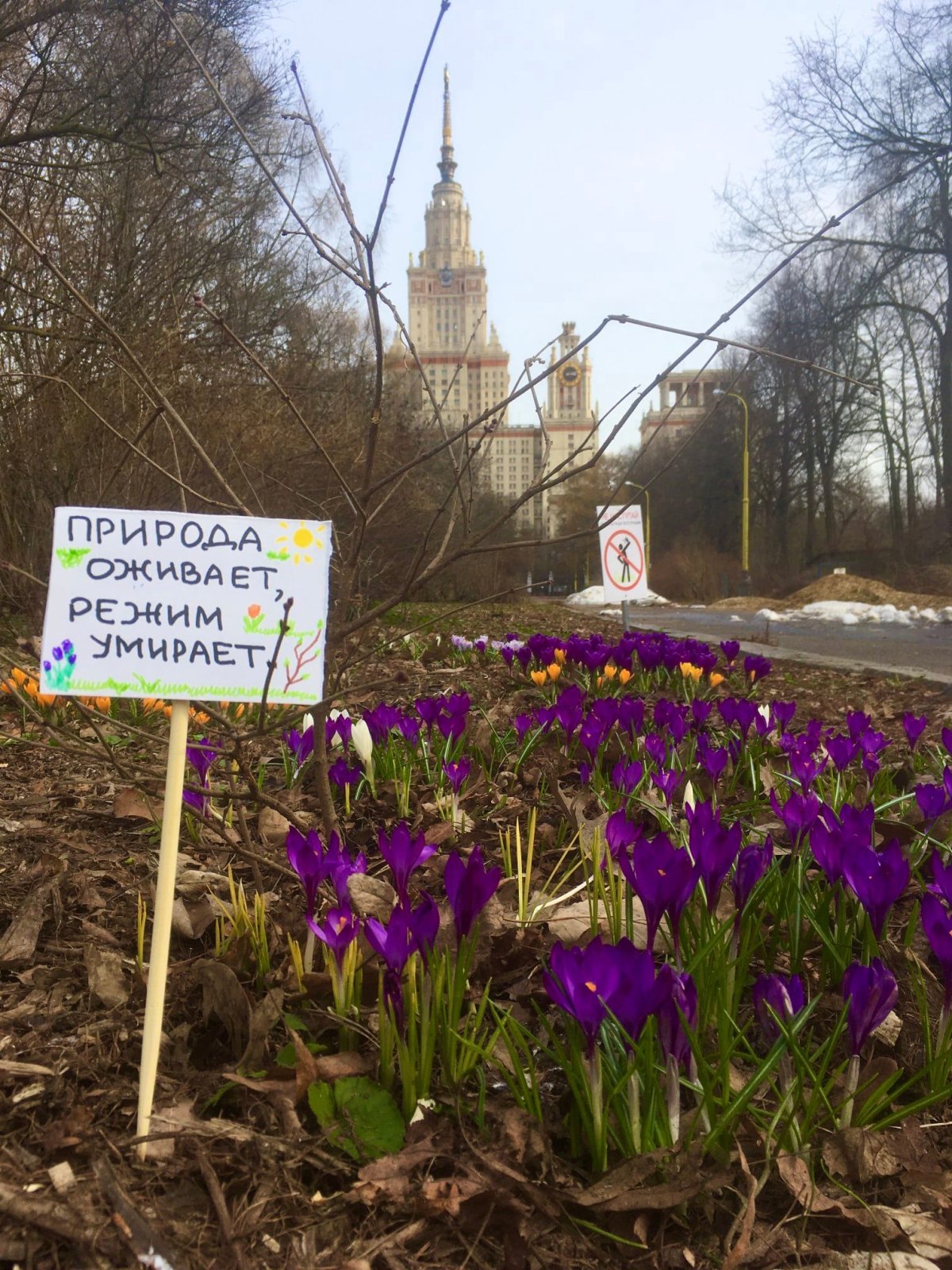 Ботанический сад МГУ Воробьевы горы