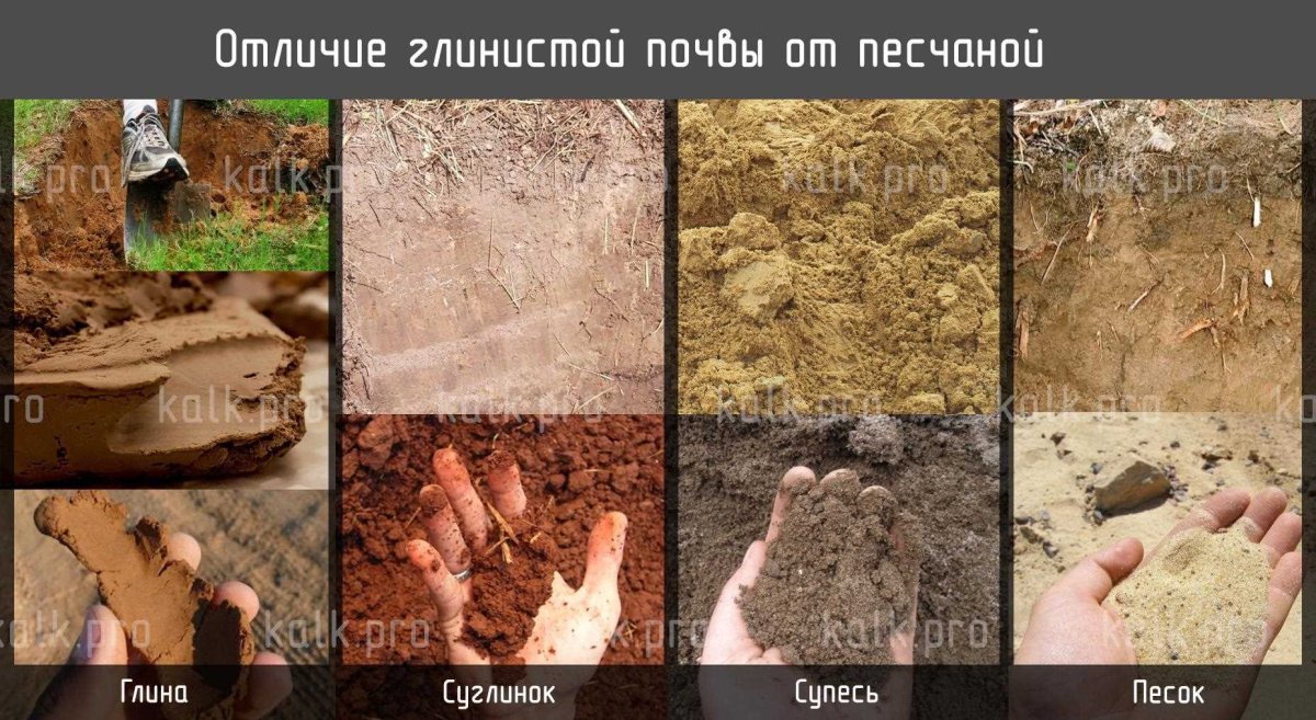 Глина суглинок супесь