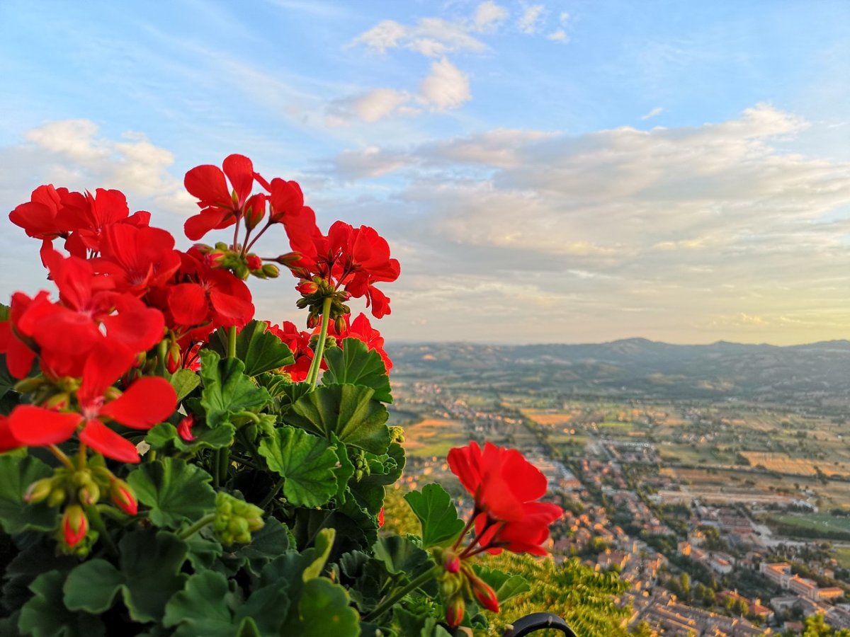 Испания Андалусия герань