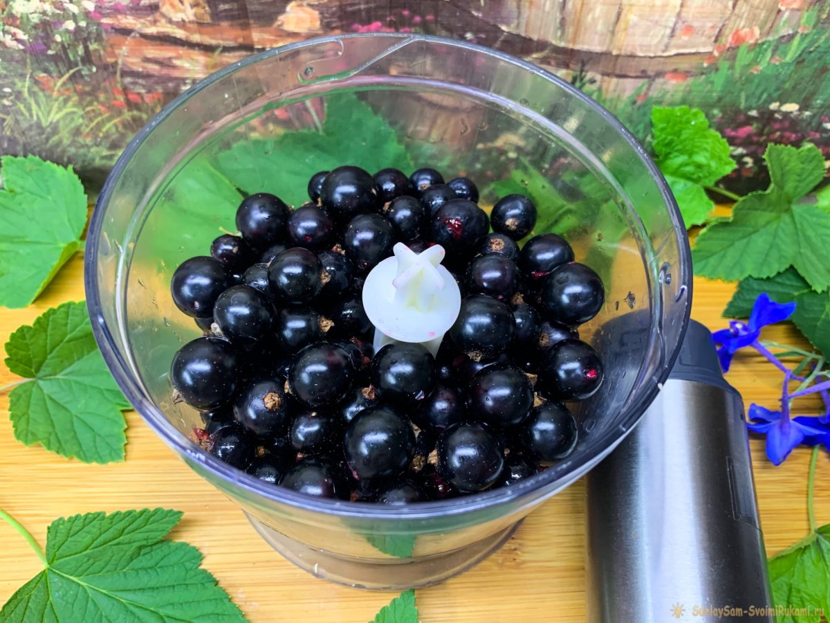 Смородина чёрная