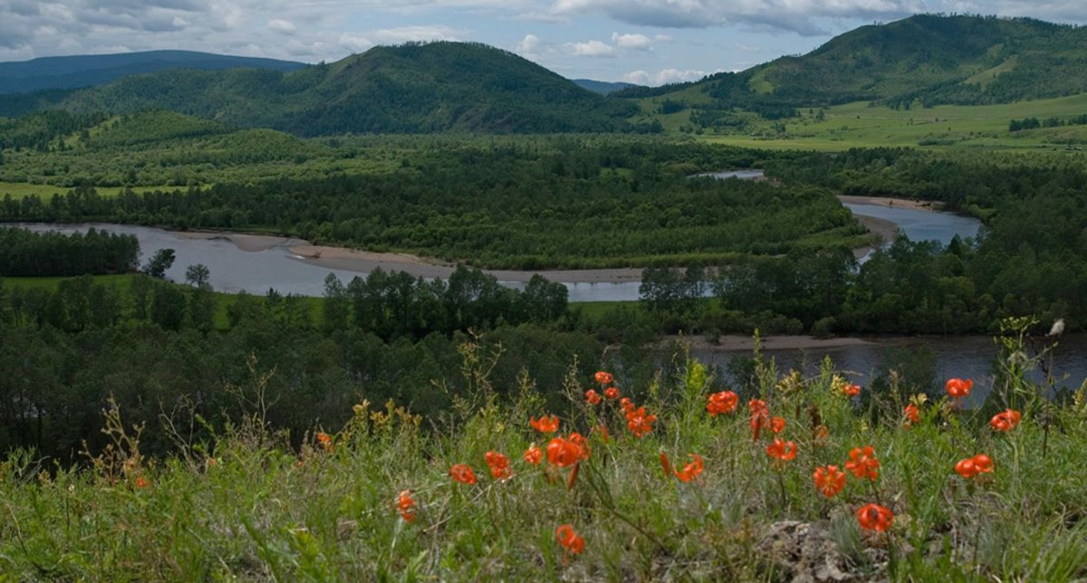 Забайкальский край лето