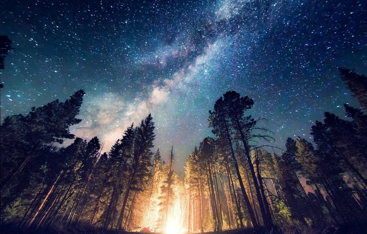 Ночной пейзаж