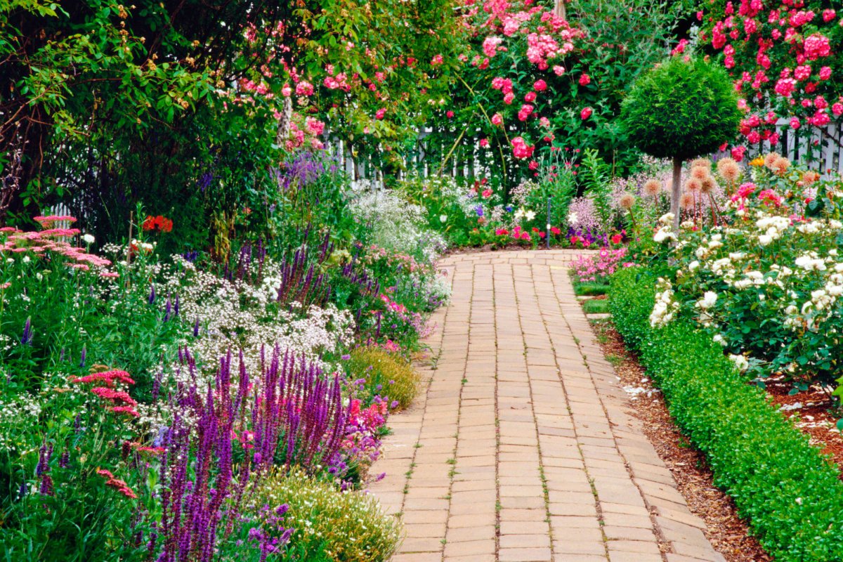 Гарден сад Garden Sad