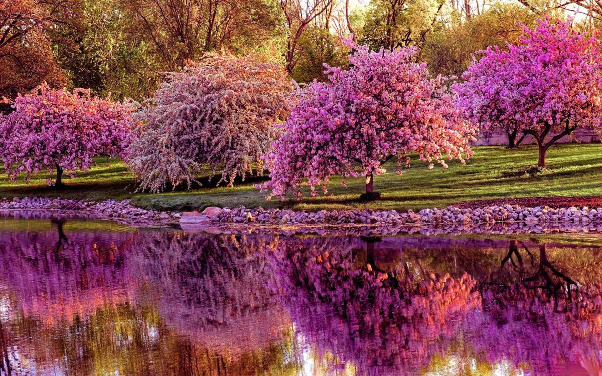 Весенний сад (Spring Topiary Garden)