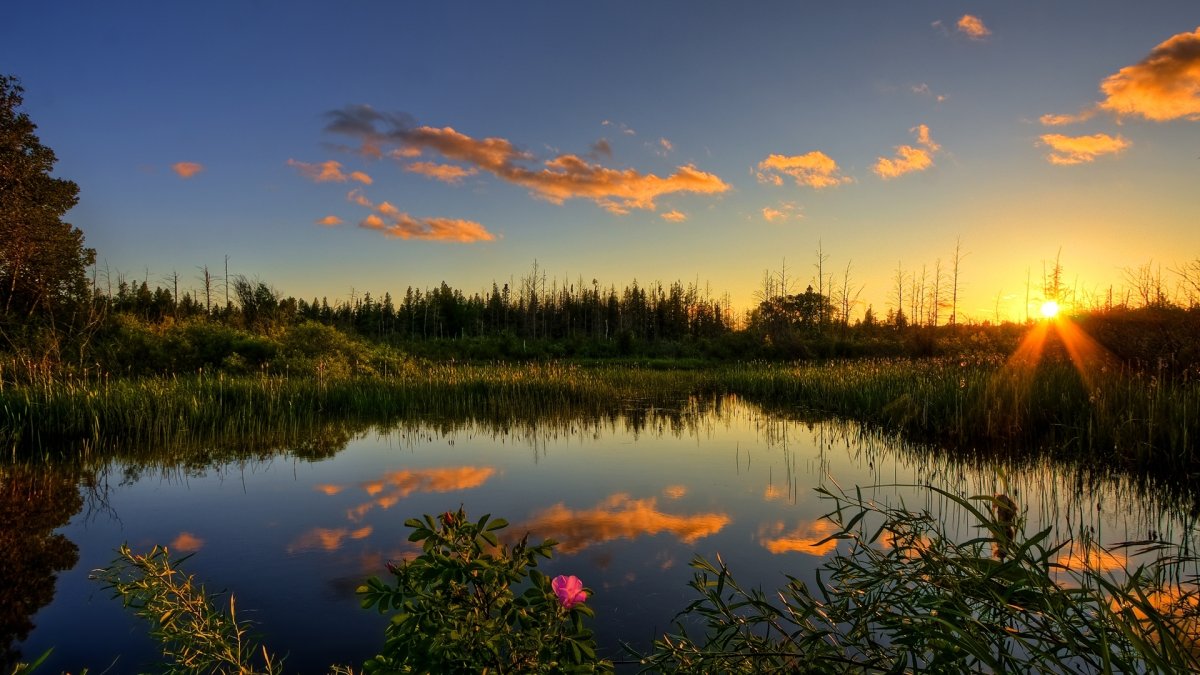 Природа закат