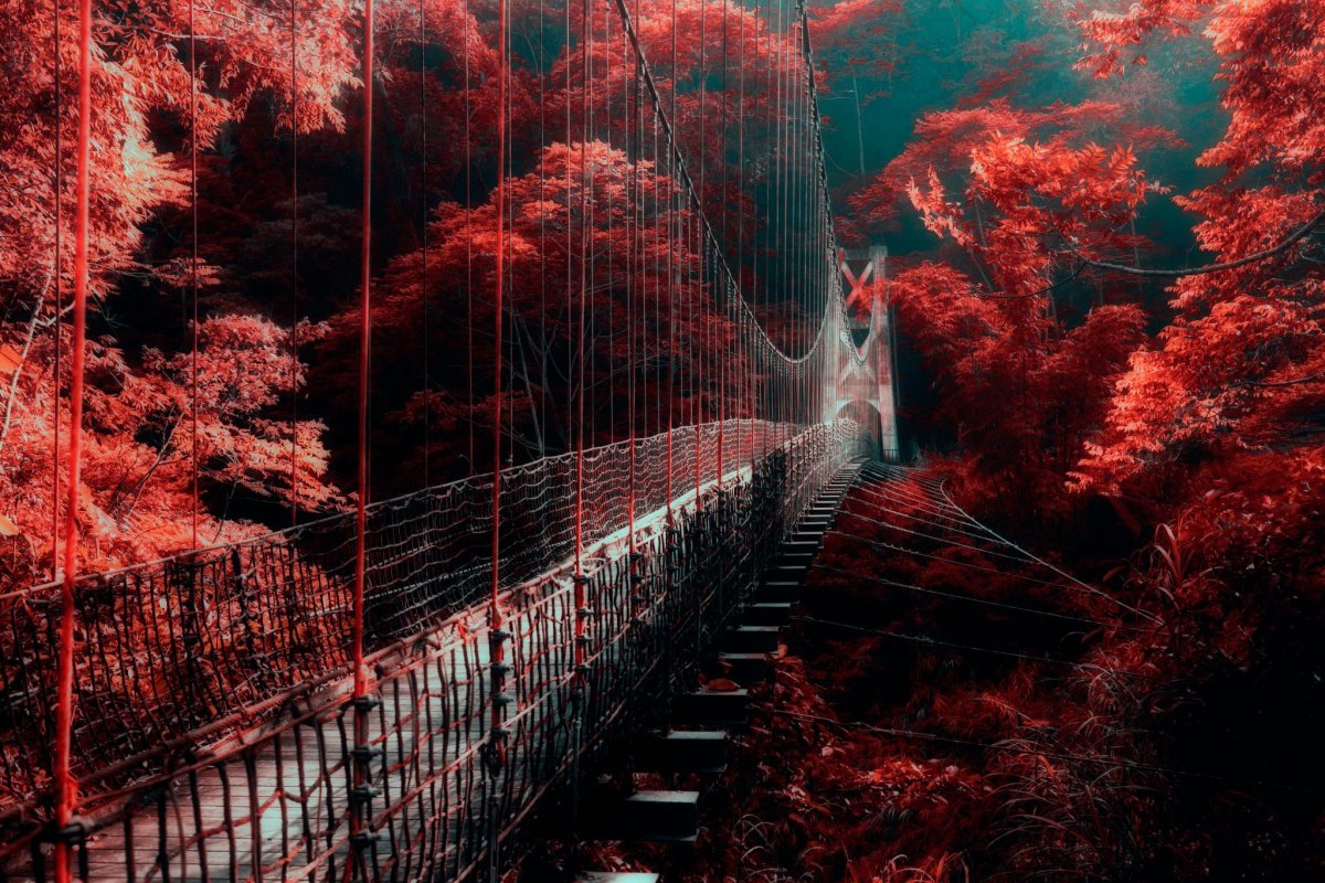 Странные пейзажи