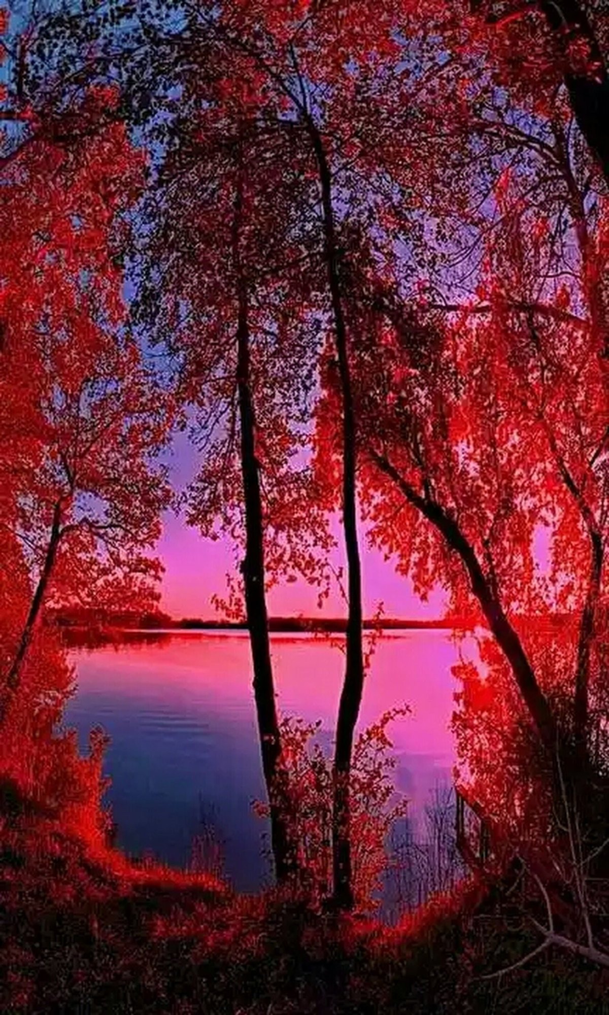 Красная осень