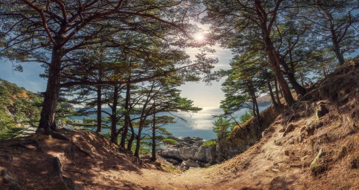 Приморский край панорама