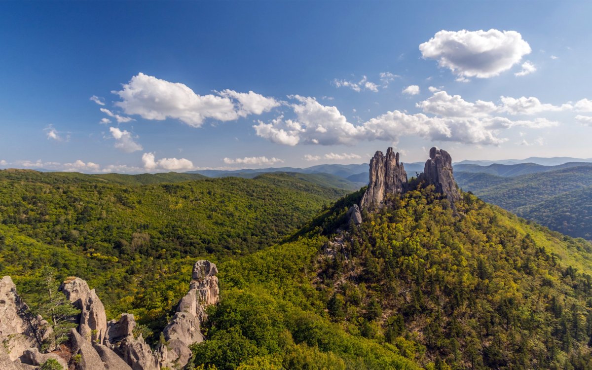 Горы Сихотэ Алинь лес