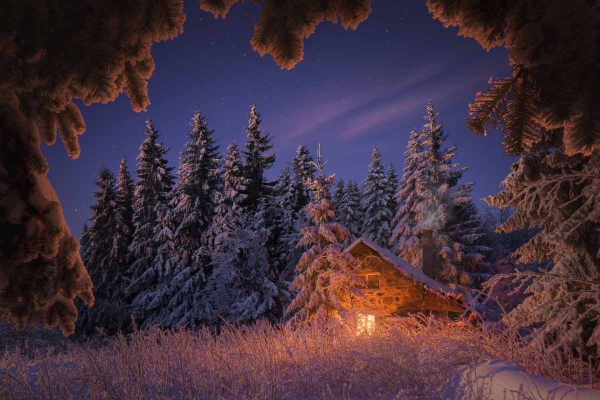 Зима в лесу