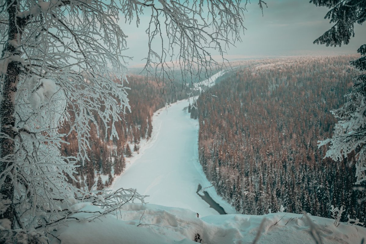 Утро кофе зима