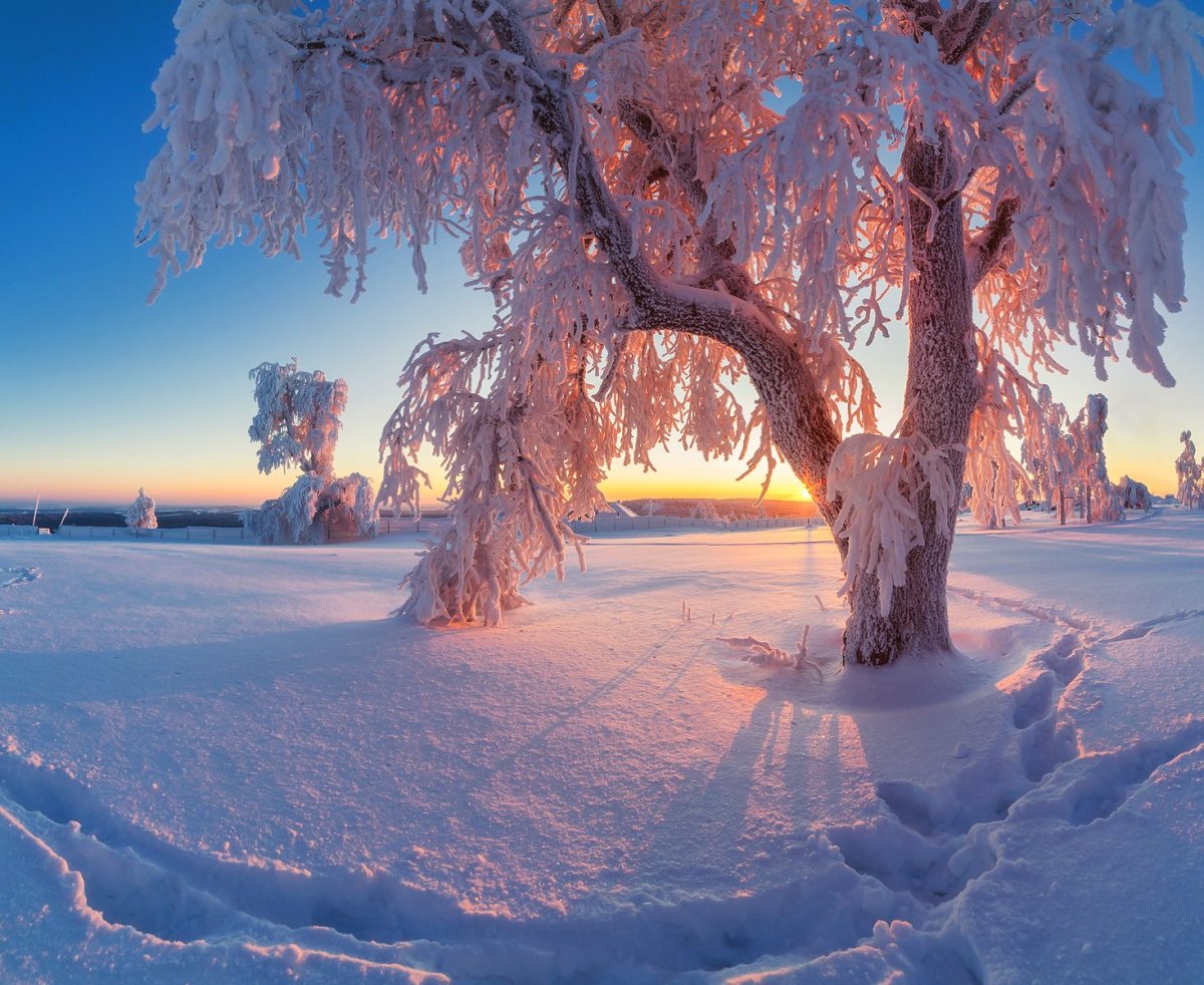 Озеро Морейн, Канада Winter