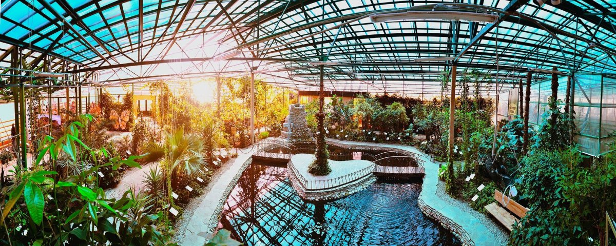 Ботанический сад Botanica Вологда