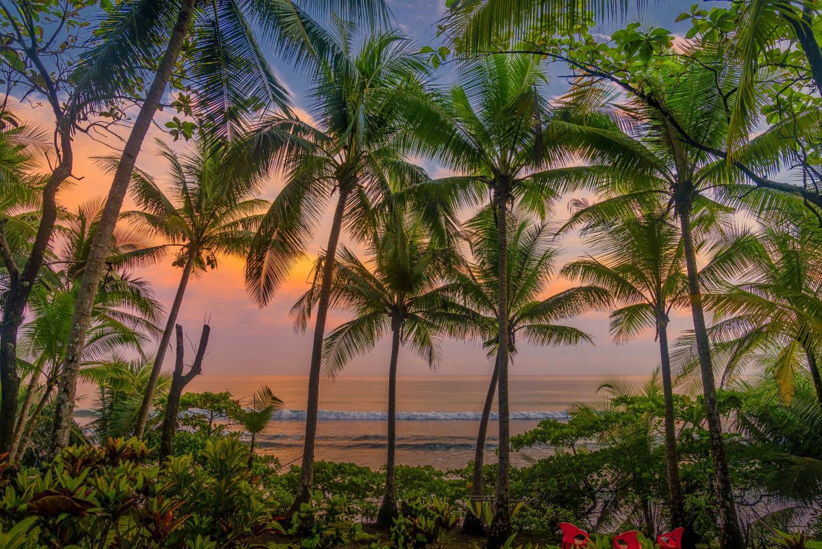 Corcovado National Park (Costa Rica)