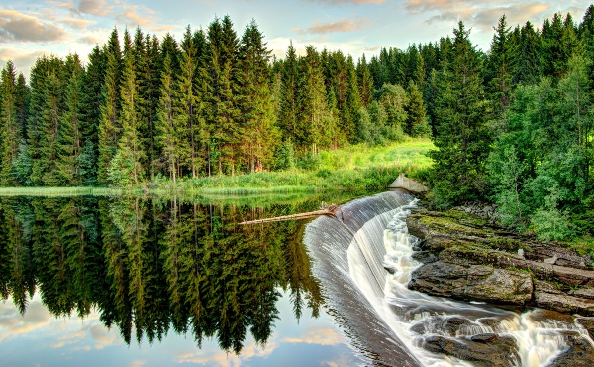 Красивая река в лесу