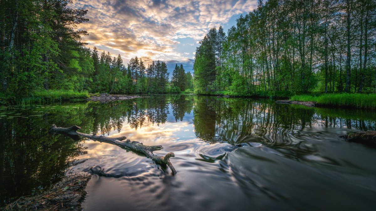 Река в лесу