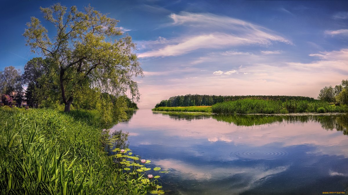 Русская природа река