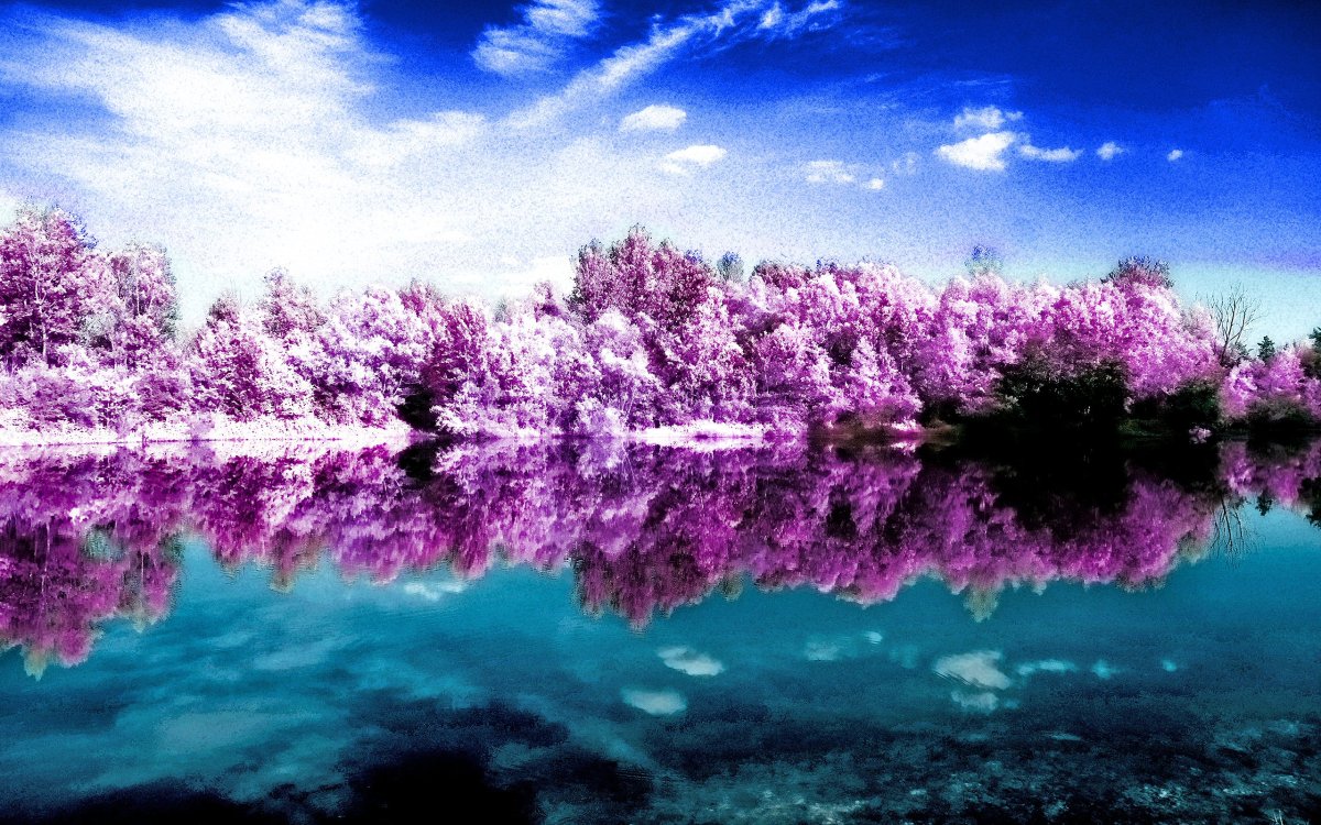 Природа в фиотлетовыхтонах