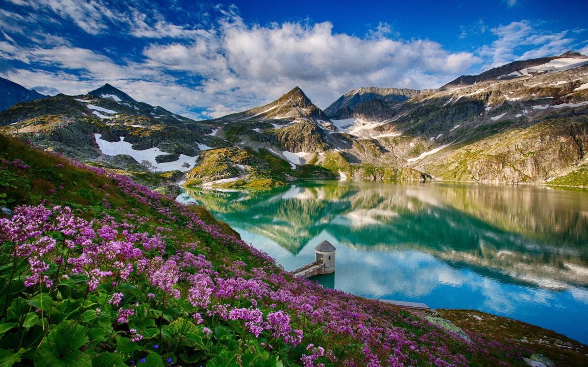 Альпийские Луга Швейцария