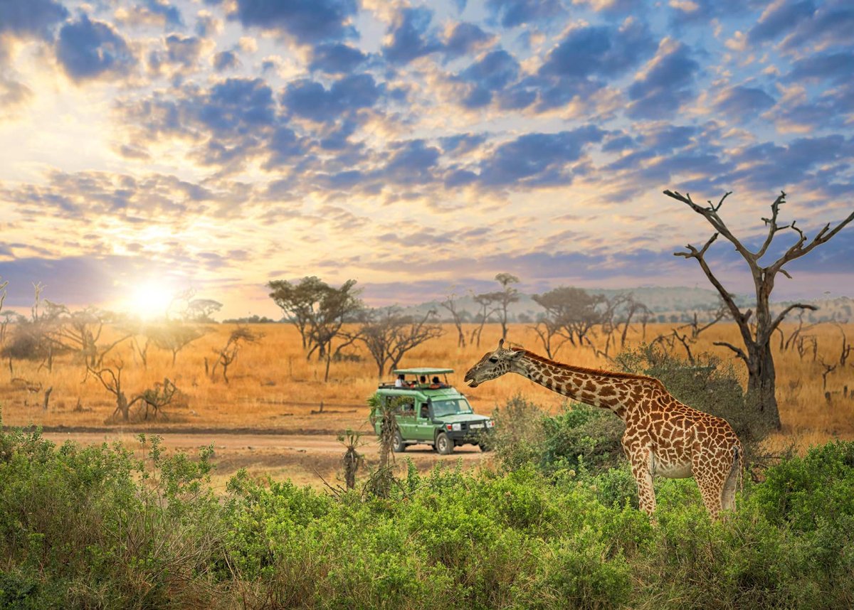 Serengeti сафари