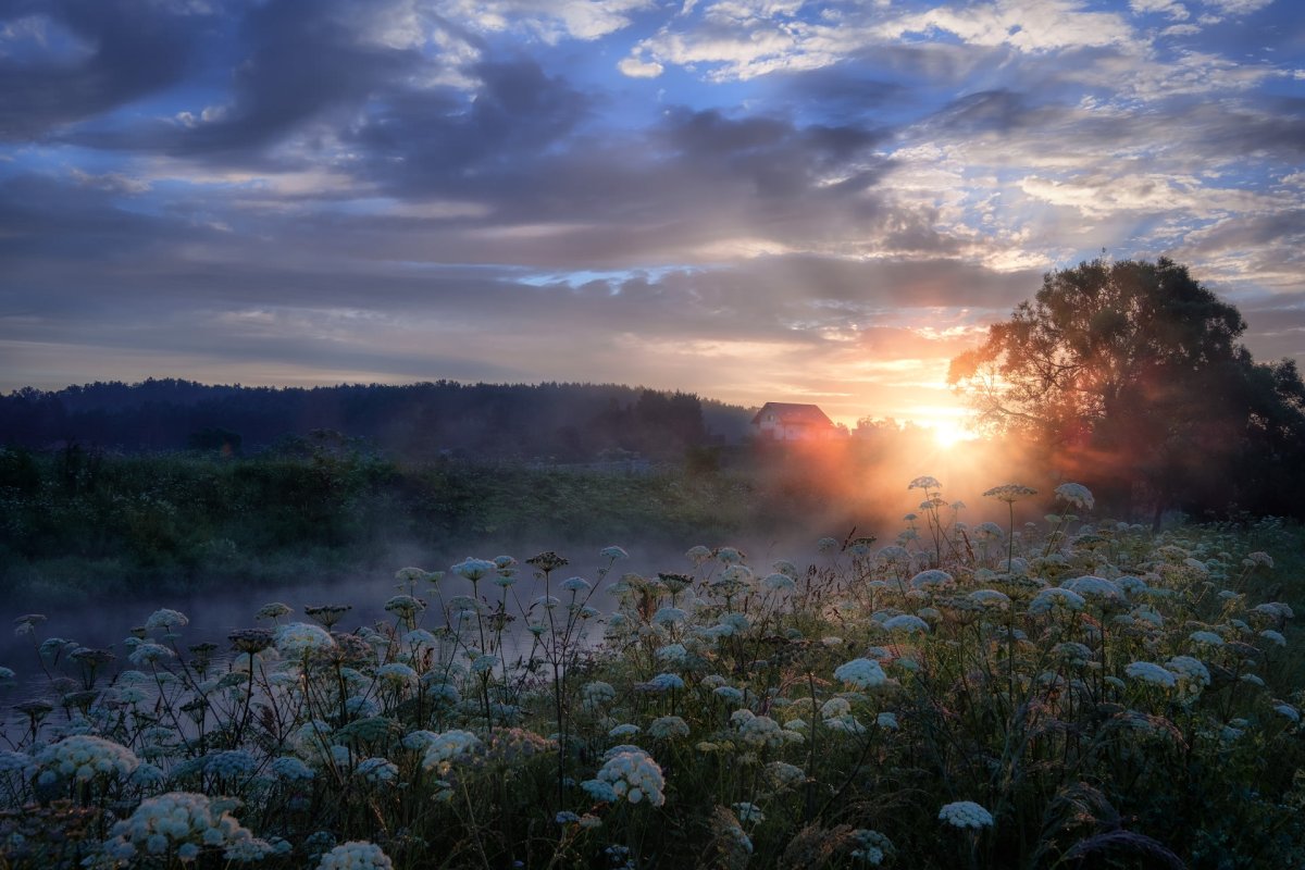Утренняя природа