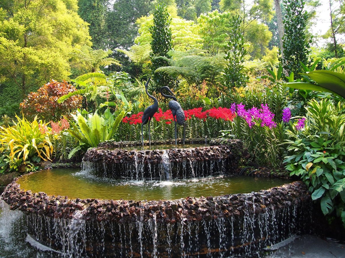 Гарден сад Garden Sad