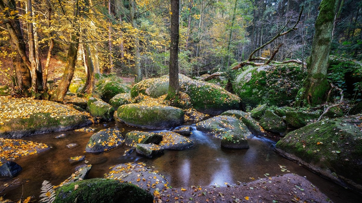 Франконский лес Бавария