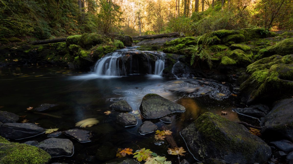 Осень камни вода