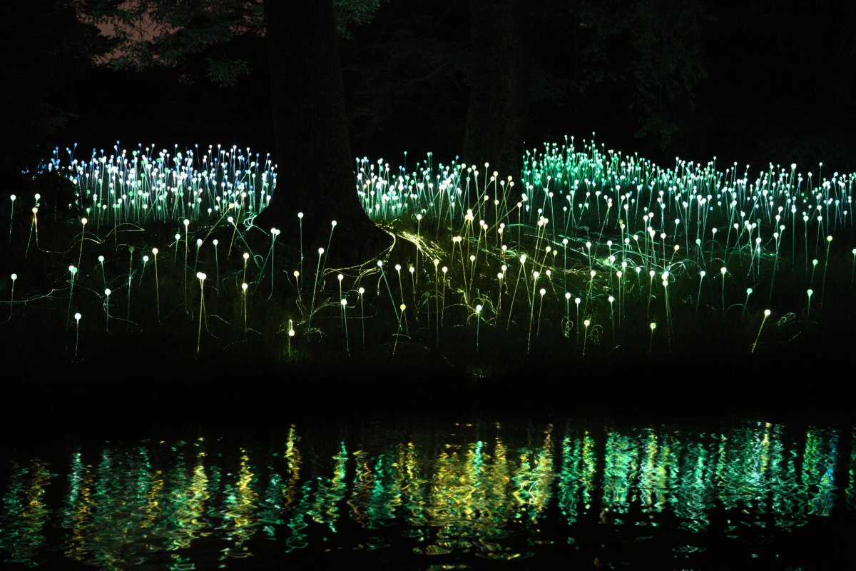 Инсталляция свет Bruce Munro