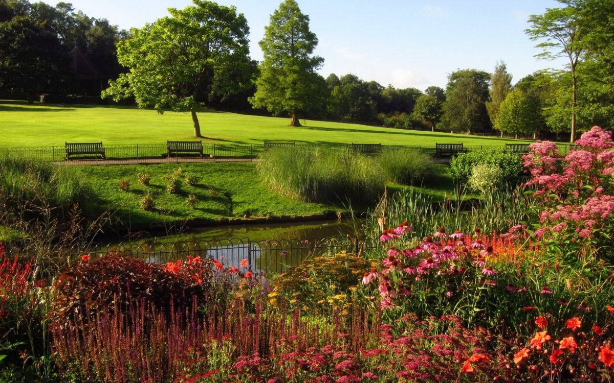 Hampstead Heath