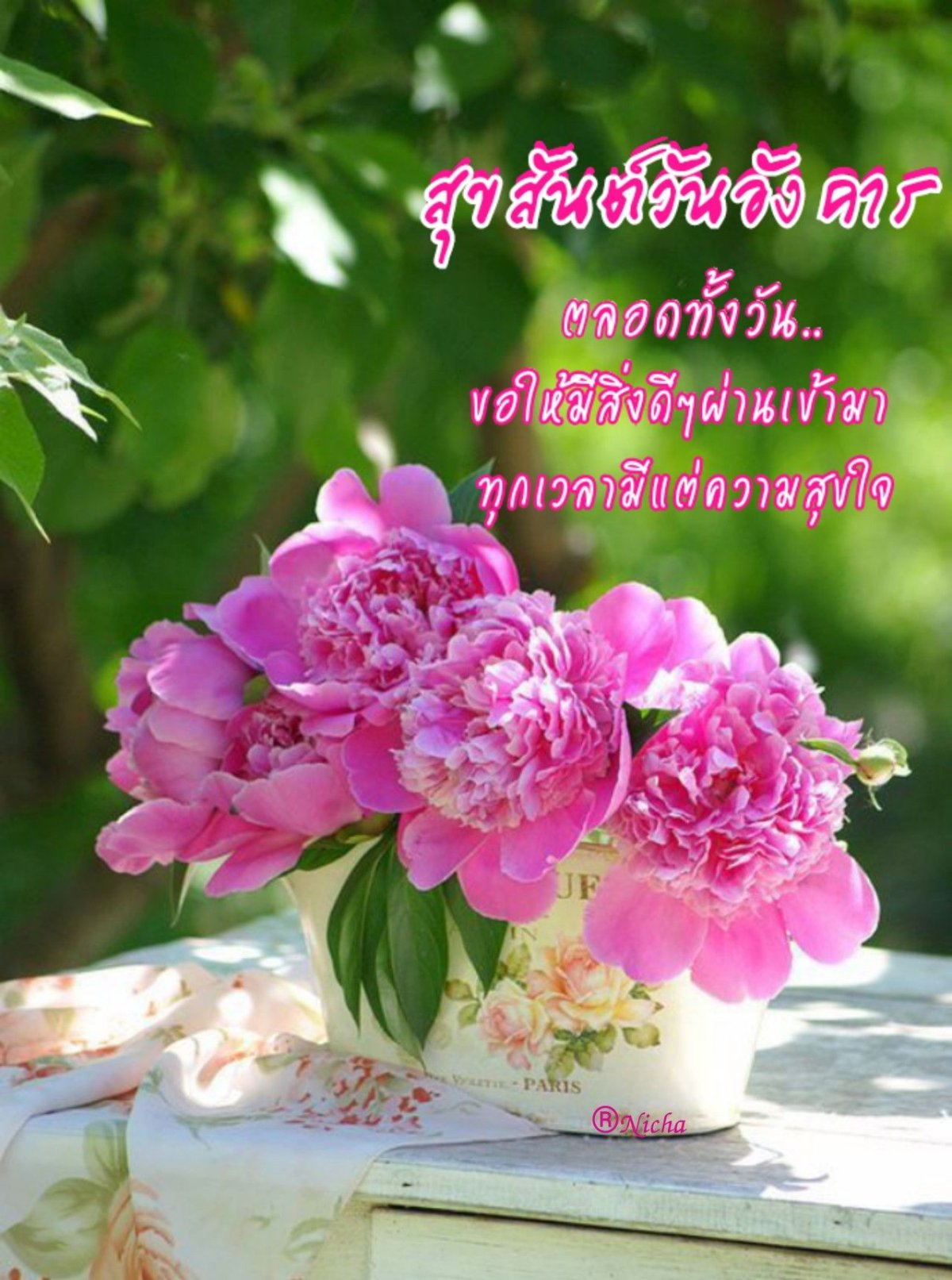 Лето цветы пионы