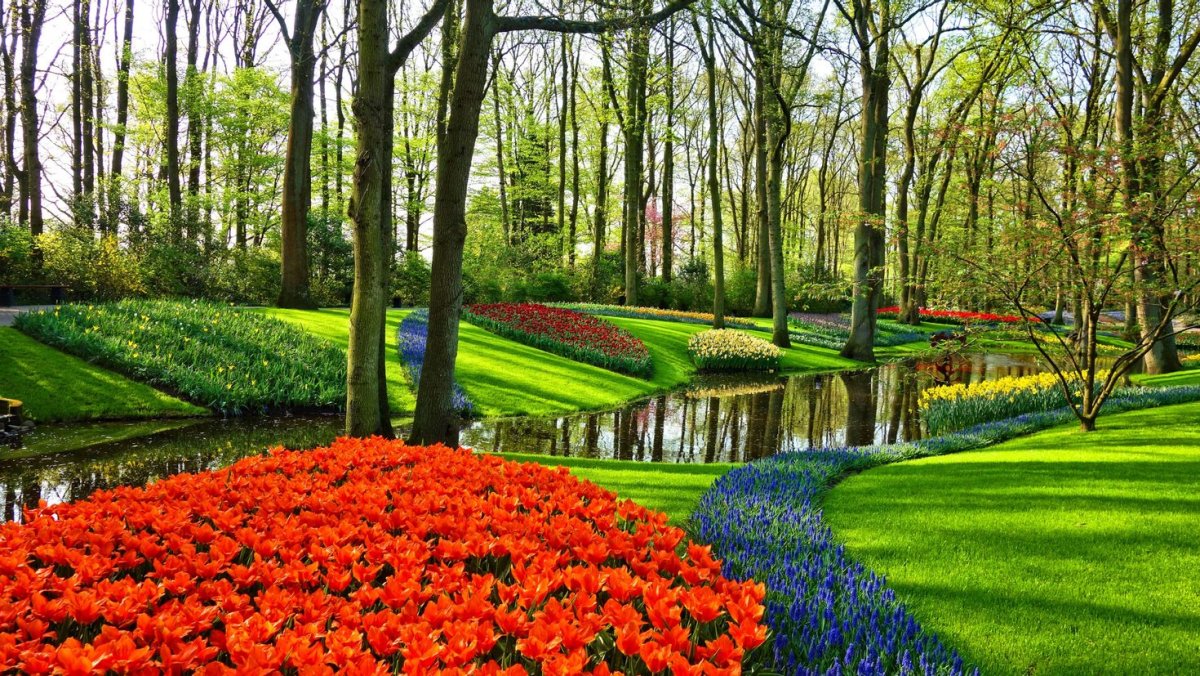 Keukenhof Gardens Нидерланды